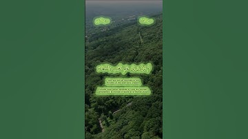 سورة الجمعة 8 سعود الشريم