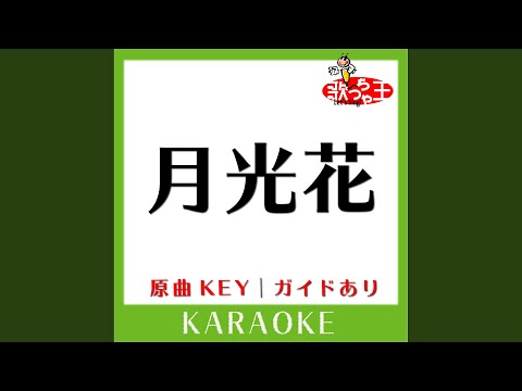 月光花 (カラオケ) (原曲歌手:Janne Da Arc)