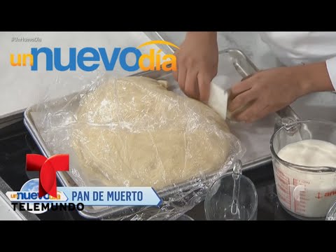 Video: Katran En Crecimiento, Recetas Con Katran