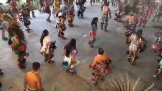 Danza azteca/ Ome Mazatl
