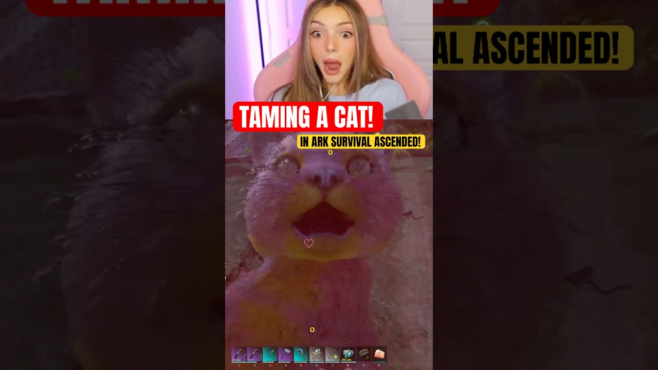 How NOT To Tame a Cat in Ark Survival Ascended! 