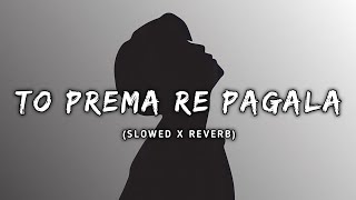 To Prema Re Pagala Mu Aji (Slowed+Reverb) Lofi Song | Humane Sagar | Odia Lofi Songs