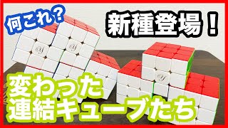 ４種類追加！【謎の連結キューブ】何やら難しそうなキューブがやってきた【ルービックキューブ】