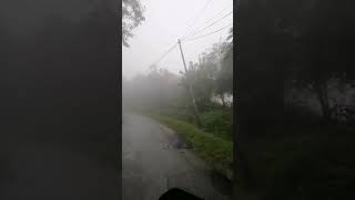 lost in fog #shorts #viral #shortvideo #viralvideo