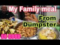 Dumpster diving haul chicken fish veggies cooking delicious meal eating + giving food to the animals