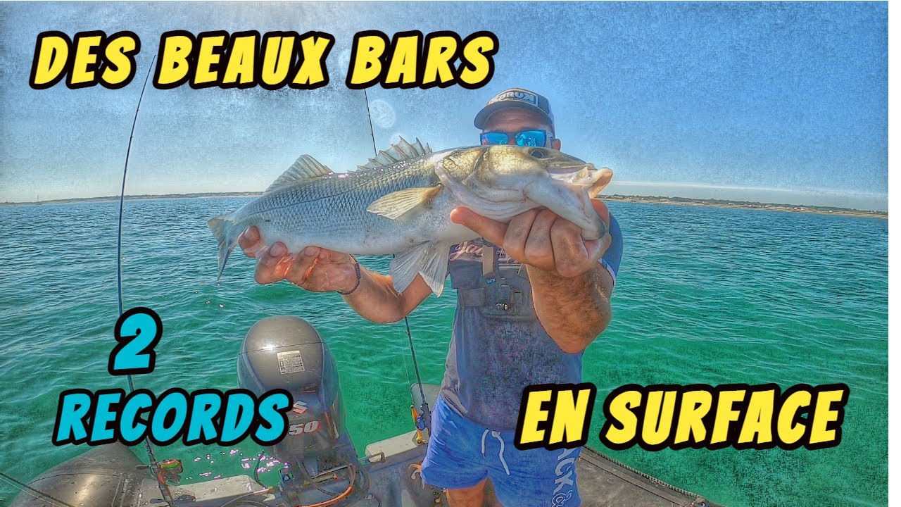 une session peche en mer bar 2021