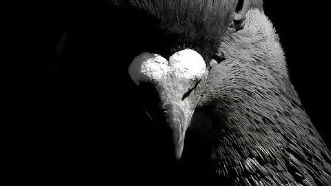 My comeback after a year in C-ops