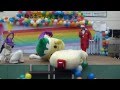 わたる(イエロー)風船を割って逃亡w ゆるキャラ大集合唐津