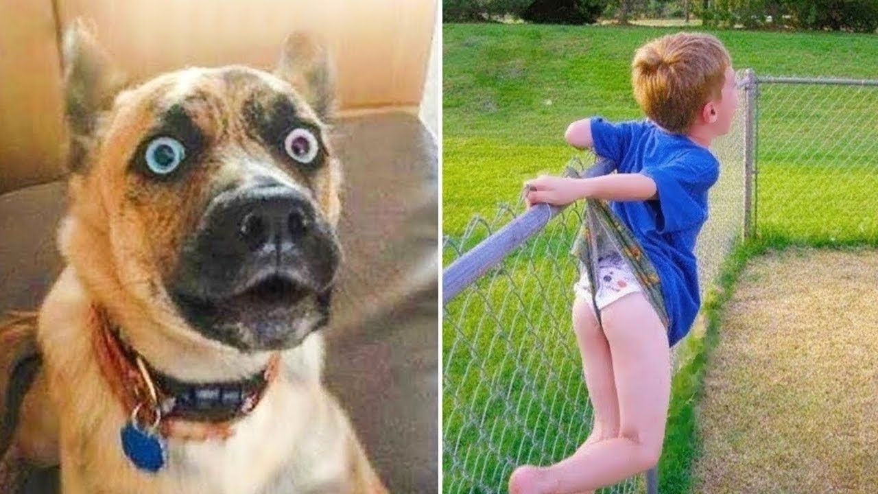 ⁣Can you hold your laughter watching these funny pets?
