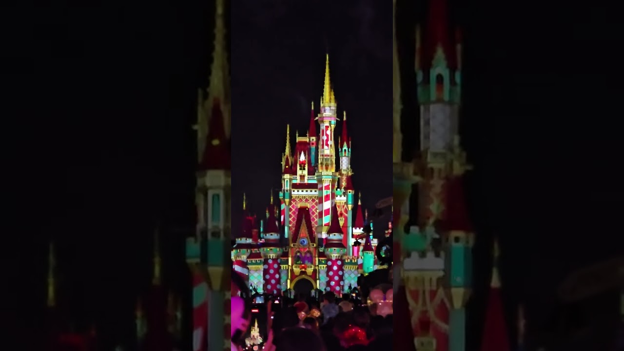 Fireworks in Disney World 🤩