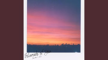 Polaroids of You