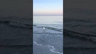 Remember to make space for what you love! #vacation #vacationvibes #beachvibes #beachday #beach