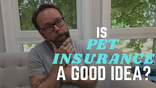 Is Pet Insurance Worth It? A Veterinarians Advice