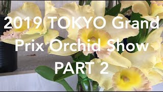 2019 Tokyo Grand Prix Orchid Show Part 2: Individuals & Fragrance ...