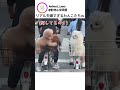 リアル夫婦すぎるわんこたちｗ