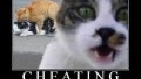 Votebotter analfabetovirtual Caught and PWWNED (Reupload)