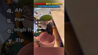 Ranking The Funniest Parrot Copying Moments