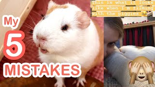 5 Mistakes I Made as a Guinea Pig Owner