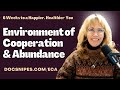 Creating Environments of Abundance & Cooperation | 6 Weeks to a Happier You Quickstart Guide