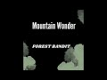 Mountain Wonder Forest Bandit Mountain Wonder Forest Bandit