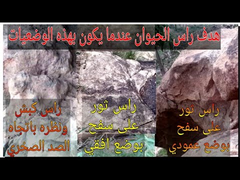 دفائن وكنوز أشارة رأس الثور والكبش أهداف ثمينة لاتستهن بها كنوز الذهب اليمن الوطن العربي