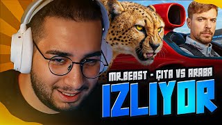 Eray - Mrbeast Watches Worlds Fastest Car Vs. Cheetah