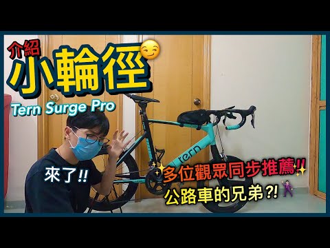 【介紹篇】高人氣的小輪徑!!多位觀眾同步推薦!!有咩咁巴閉?公路車兄弟?!│Tern Surge Pro