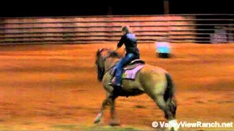 See Da Chex - Charlie Brown     ***For info, price, etc., go to our website***  Valley View Ranch