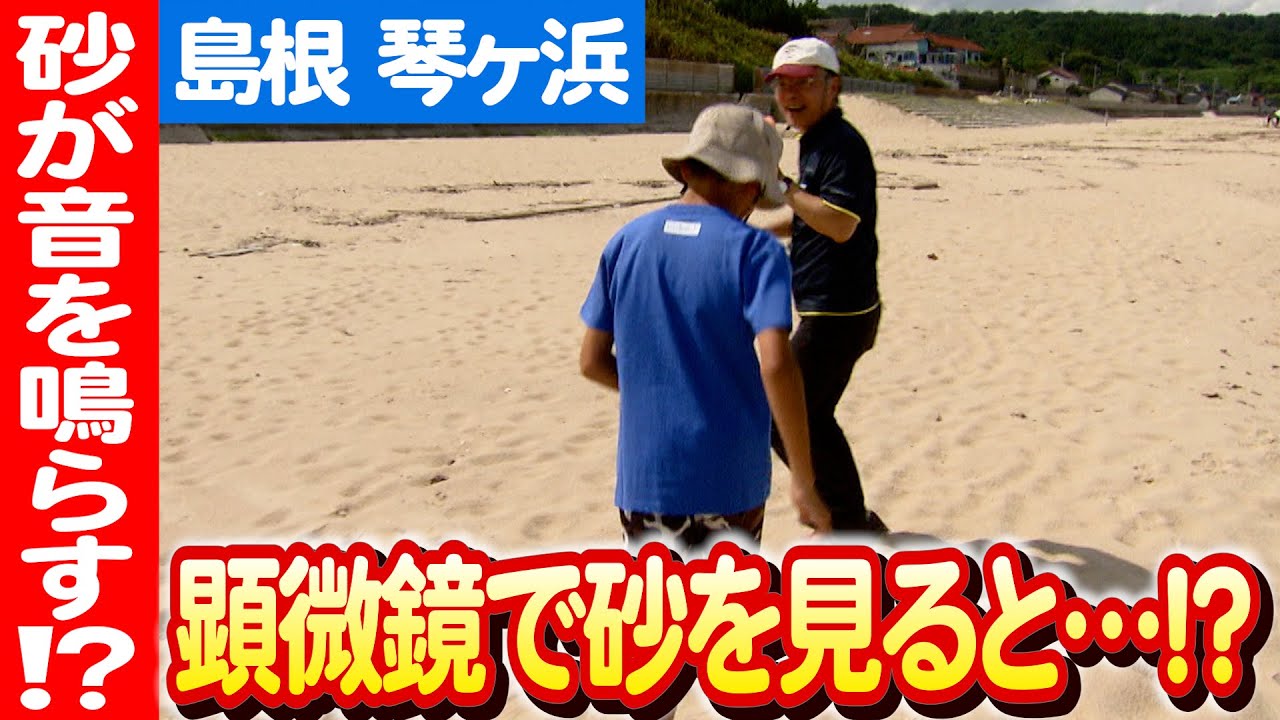 琴ヶ浜 砂 2002年8月5日採取 琴ヶ浜 砂 2002年8月5日採取