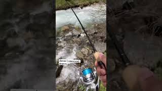 Дикая форель #fishing #форель #балык #troutfishing #кыргызстан #fishing #trout