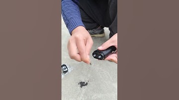 vệ sinh máy cạo râu rất dễ dàng