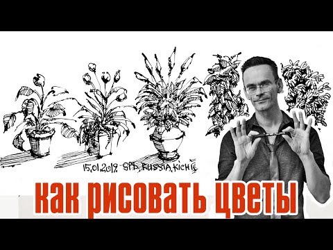 ⁣Ландшафтный скетчинг - как нарисовать цветок - ландшафтная графика - рисуем скетч - Кичигин Эдуард