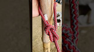 Dubble bowline knots 🪢👍