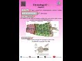 ✨Etymology12:Apoplast✨#dek71#ALevel#ชีววิทยา#Biology#BioLinks Academy