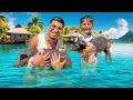 We Went SWIMMING With PIGS In The Bahamas!