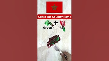 What color do mixed flags make?? #paintmixing #colormixing #satisfyingart #asmart