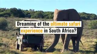 Ultimate Safari Glamping Experience At Bukela Game Lodge In South Africa