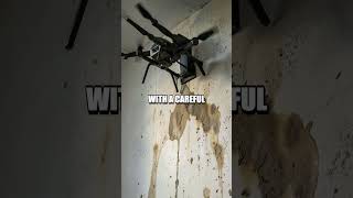 Drone Diaries of a Quiet Fix