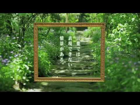 奥の湯CM「言葉篇」