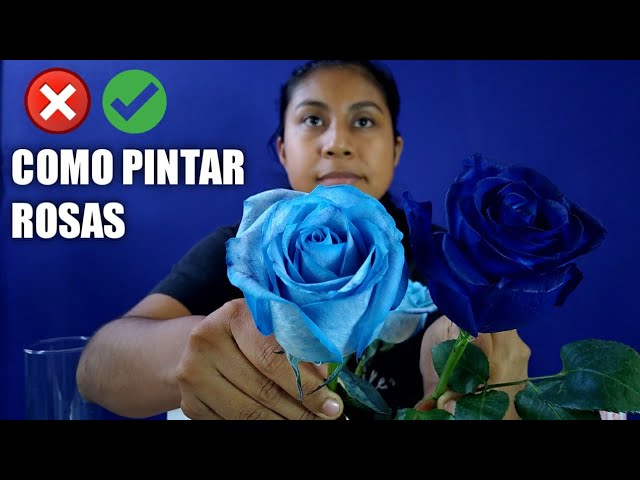 ? Como pintar rosas naturales en colores ? Absorbit y Spray Design Master  - YouTube