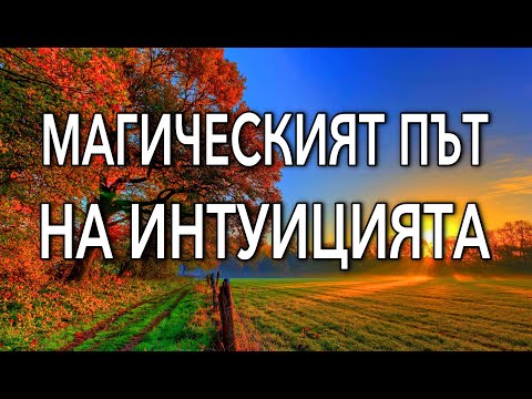 Видео: Как да държите правилно японски пръчици: никога не е твърде късно да се научите