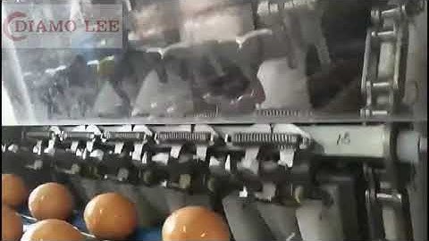 egg breaking machine commercial whole egg breaker egg processing machine