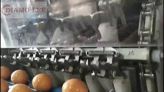 egg breaking machine commercial whole egg breaker egg processing machine