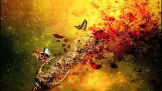 Carbon Based Lifeforms - The Path [Full Album HD]