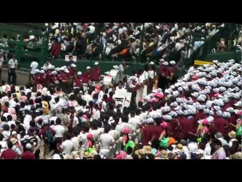 20120818 大阪桐蔭×済々黌　春夏連覇を果たした大阪桐蔭のアルプス応援①