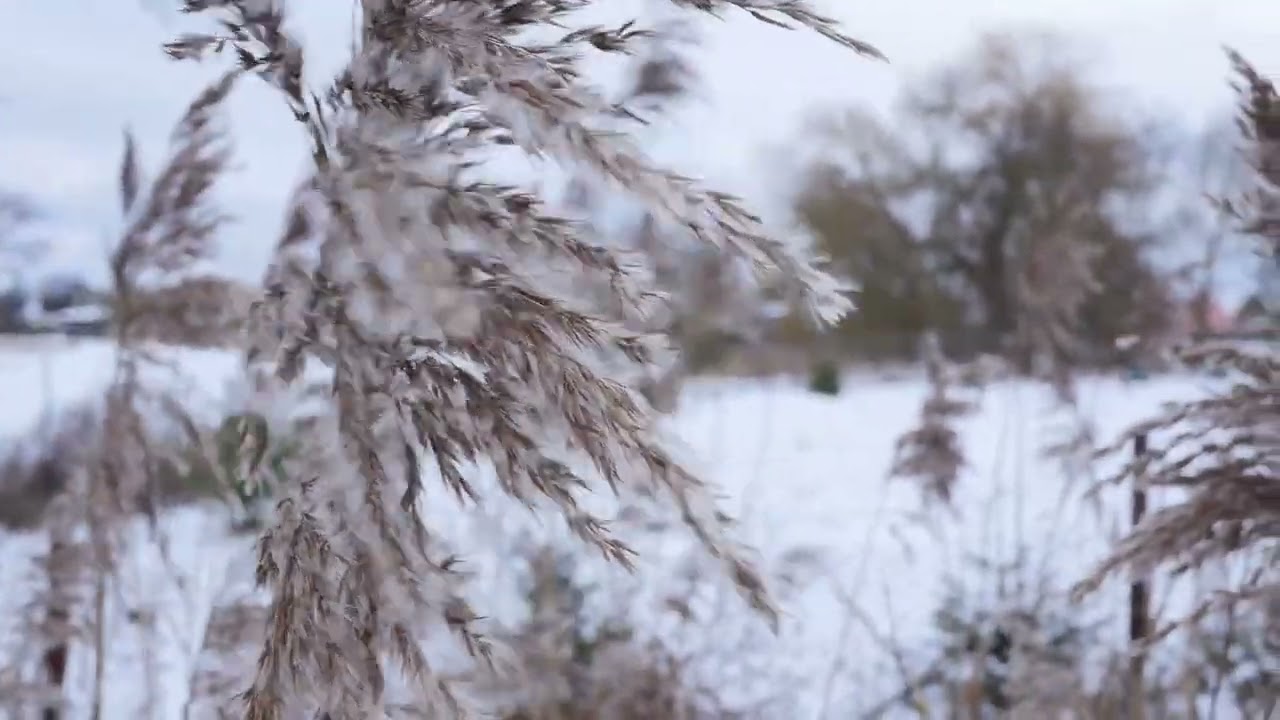 Владимир Долгорукий - НЕПРОСТ МОЙ РАЗГОВОР ~ ПАМЯТИ МОЕГО БРАТА
