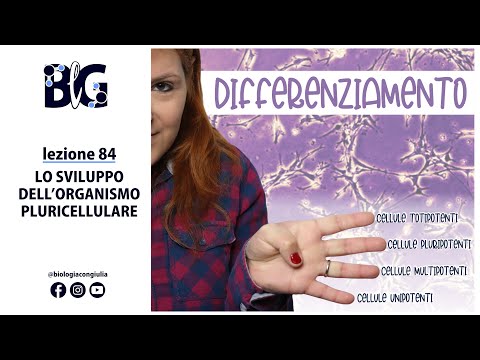 Video: Qual è la differenziazione cellulare spiegare in dettaglio?