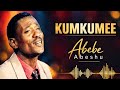 Abebe Abeshu Kumkumee Ethiopian Oromo Cover Music 2025