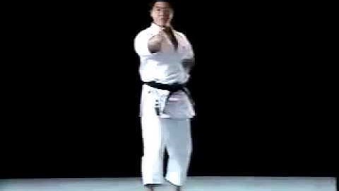 Pinan Shodan Shito Ryu