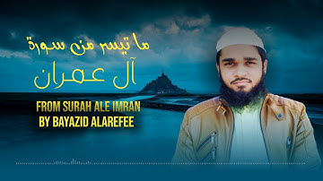 ما تيسر من سورة آل عمران | هنالك دعا زكريا ربه | بايزيد العريفي